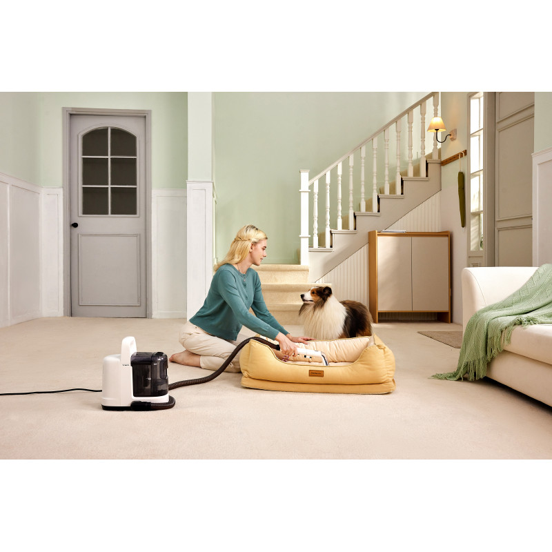 Пилосос Tineco iCarpet One Spot (SC050300DE)