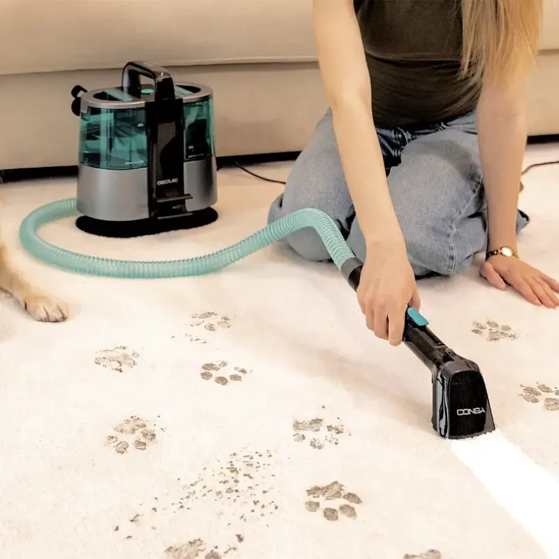 Пылесос Cecotec Conga 6000 Carpet&Spot Clean XL (A01_EU01_122354)