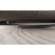 Electrolux ZE163
