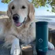 Кофеварка Outin Teal (OTEM-01-TEAL)