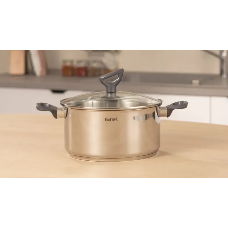 Tefal Daily Cook 24 см 5 л (G7124645)