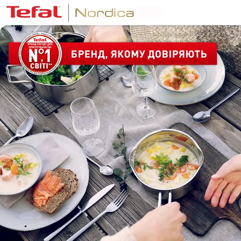 Набор посуды Tefal Nordica (H852SA56)