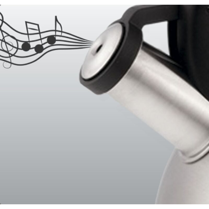 Чайник для плити Tefal N4180217