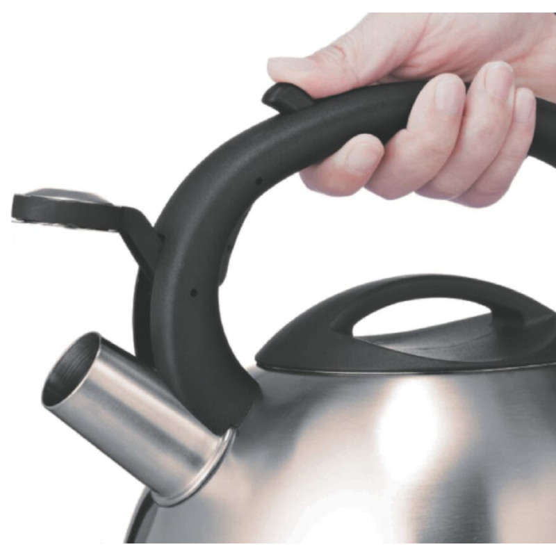 Чайник для плити Tefal N4180217