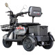 Електроскутер Maxxter ANT LI (Gray)