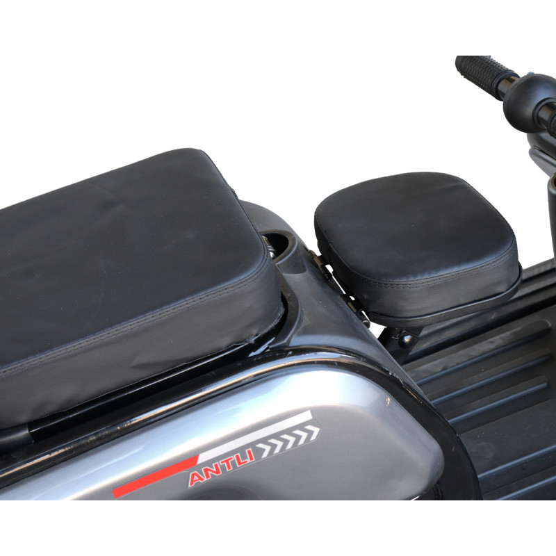 Електроскутер Maxxter ANT LI (Gray)