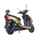 Електроскутер Maxxter SPEEDY GTS (gold)