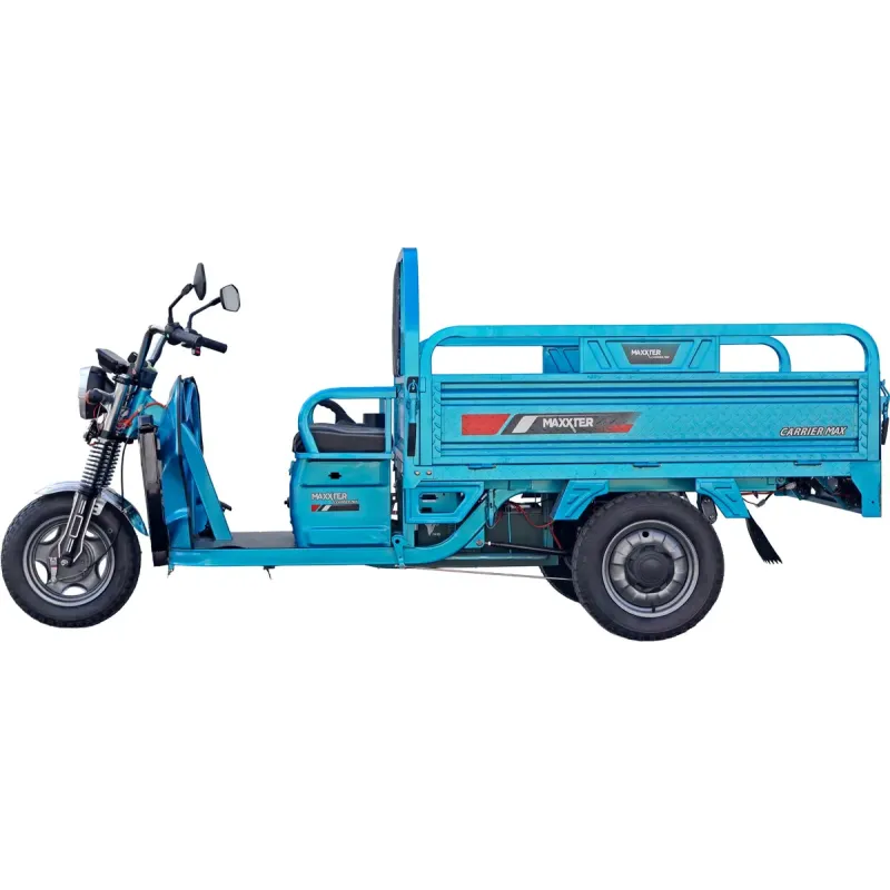 Электроскутер Maxxter CARRIER MAX (Blue)