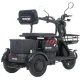 Электроскутер Maxxter ANT (Black)