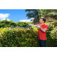 Кусторез Ryobi RHT6760RL (5133003647)
