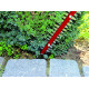 Einhell GC-EH 6055/1 (3403320)