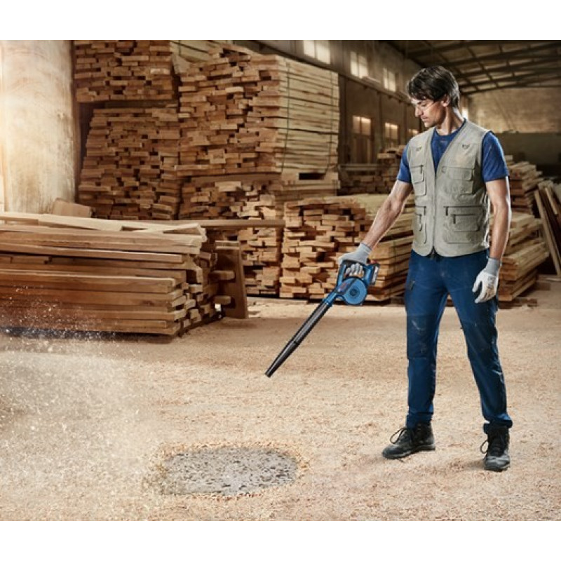 Bosch GBL 18V-120 Professional (06019F5100)