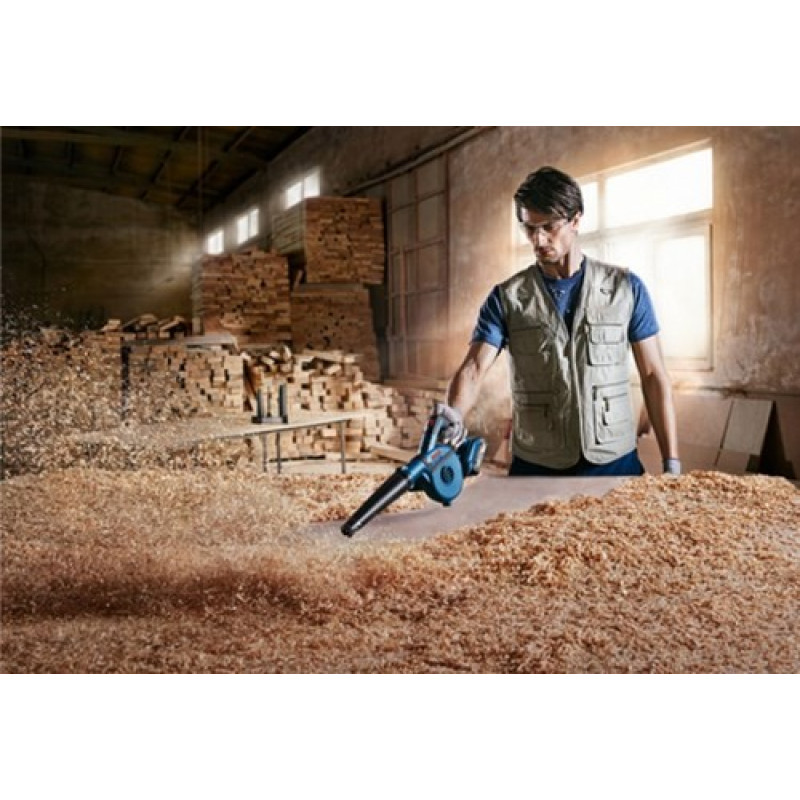 Bosch GBL 18V-120 Professional (06019F5100)