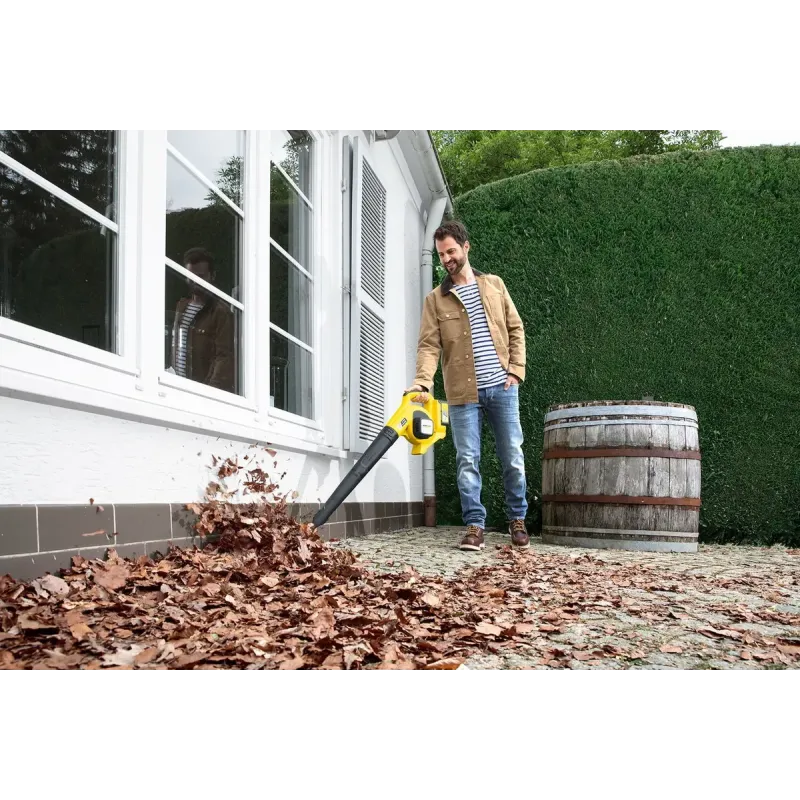 Садовый пылесос-воздуходувка Karcher LBL 4 BATTERY (1.445-150.0)