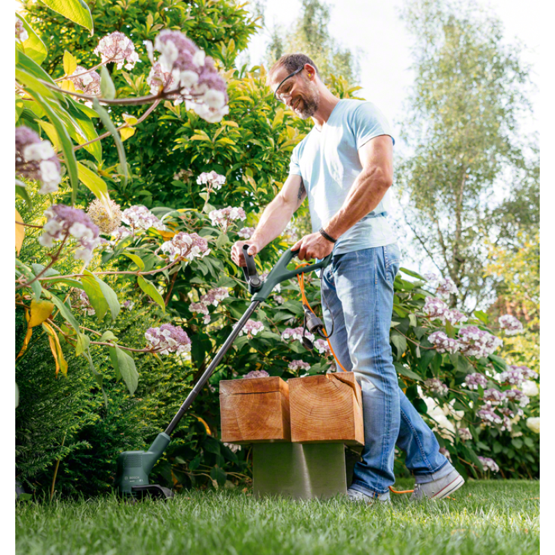 Bosch EasyGrassCut 26 (06008C1J01)