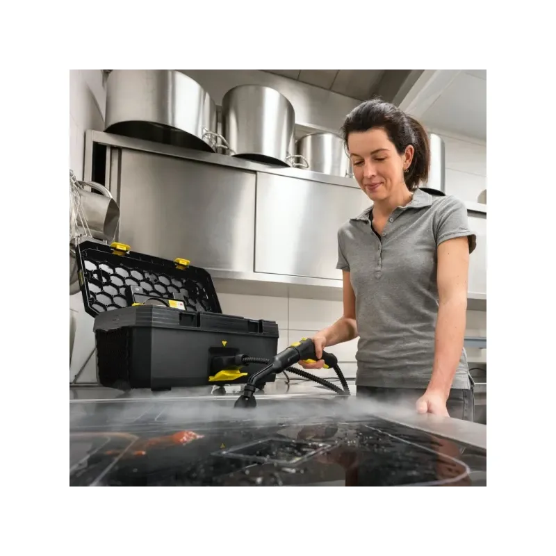 Пароочиститель Karcher SG 4/2 Classic Anniversary Edition (1.092-303.0)