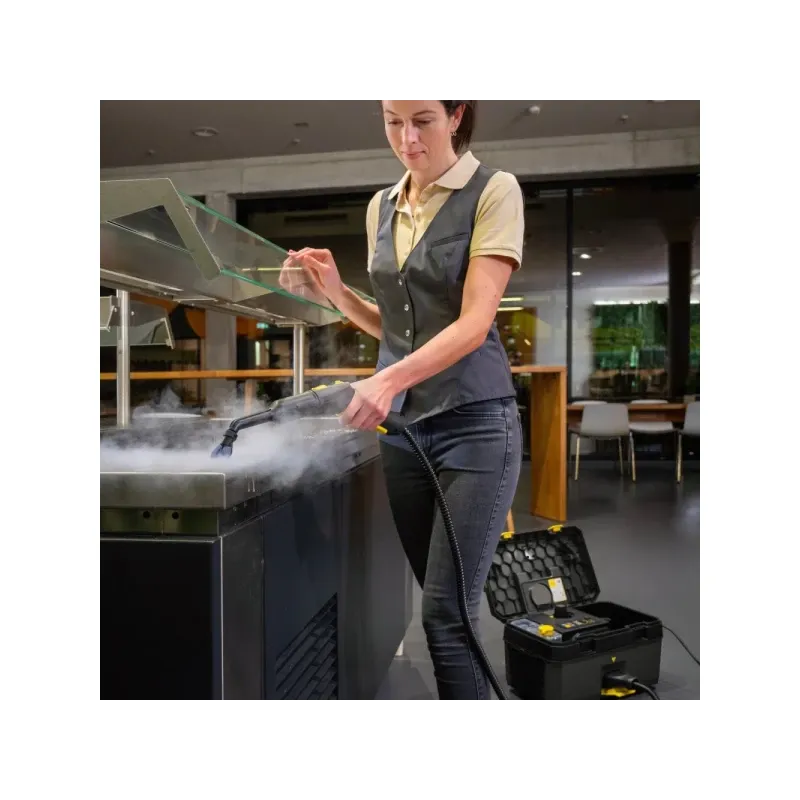 Пароочиститель Karcher SG 4/2 Classic Anniversary Edition (1.092-303.0)