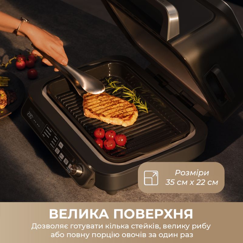 Гриль-барбекю електричний MOVA IG20 PRO Black (MOVA-IG20-PRO)