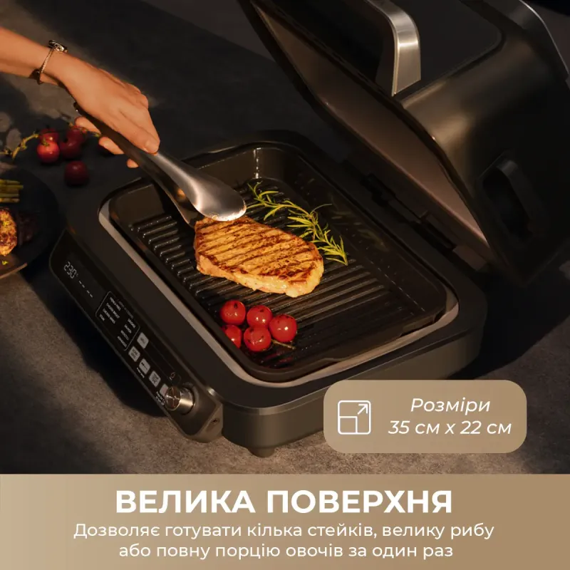 Гриль-барбекю электрический MOVA IG20 PRO Black (MOVA-IG20-PRO)