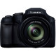 Фотоапарат Panasonic Lumix DC-FZ82D (DC-FZ82DE-K)