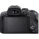 Фотоаппарат Canon EOS R10 body (5331C046)