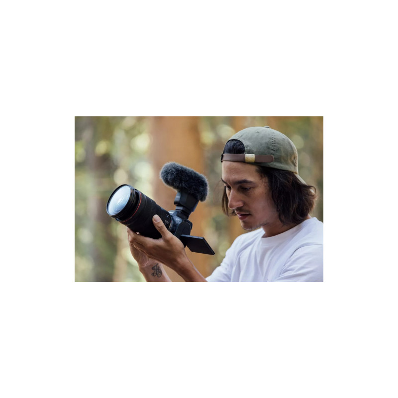 Canon EOS R6 Mark II Body (5666C031)