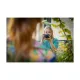 Фотоаппарат Canon EOS R8 kit RF 24-50mm IS STM (5803C016)