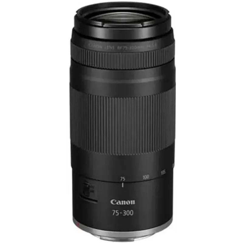 Фотоаппарат Canon EOS R50 kit 18-45 IS STM + RF 75-300 (5811C150)