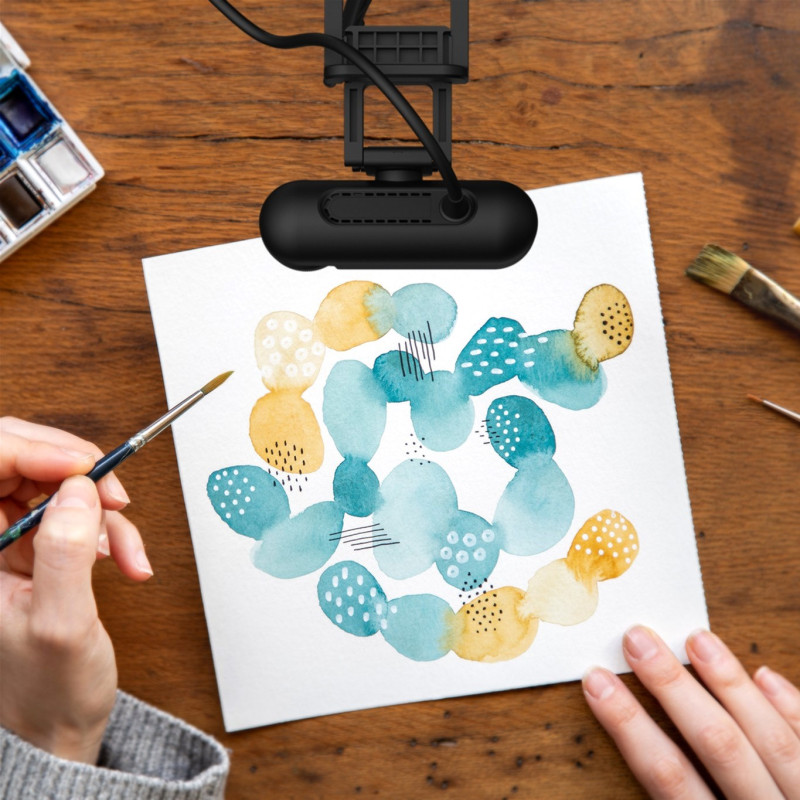 Веб-камера j5create JVU250-N