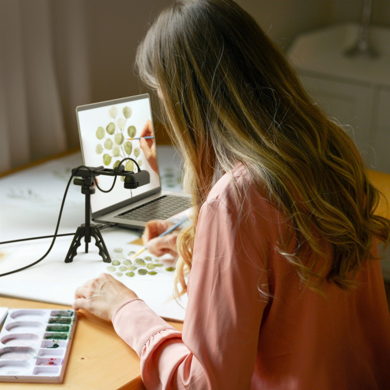 Веб-камера j5create JVU250-N