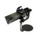 Микрофон Endgame Gear XSTRM, Black (PGWEGMIC001)