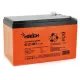 Аккумуляторная батарея Merlion 12V-12Ah GEL (GL12120F2 GEL)