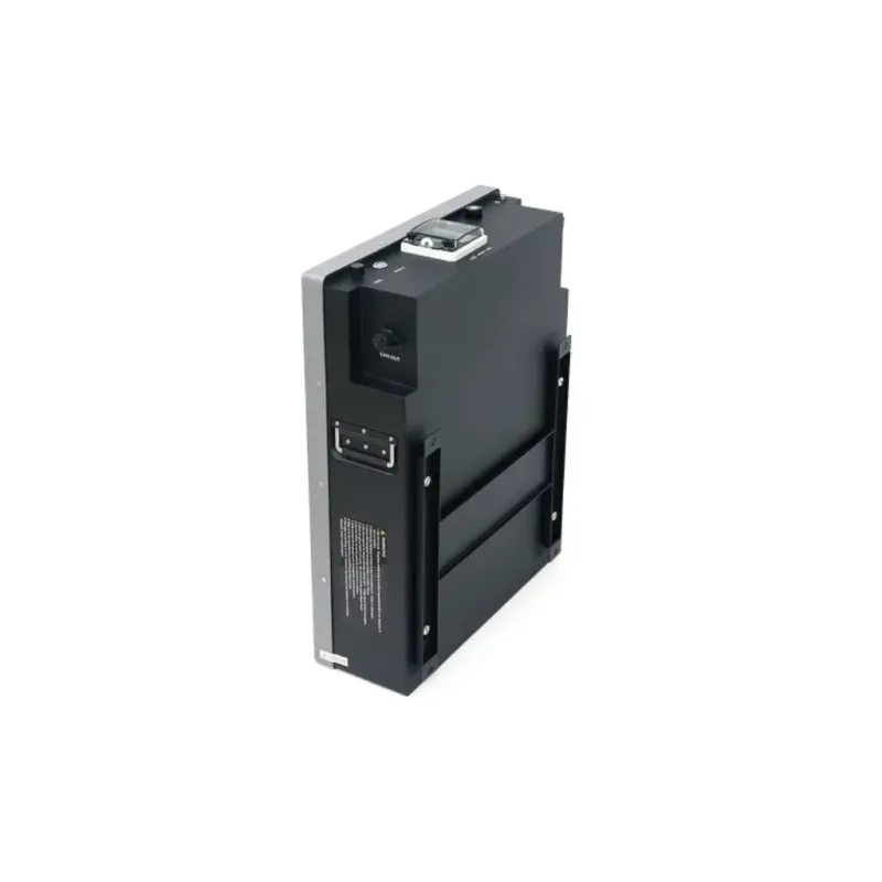 Аккумуляторная батарея Dyness Power Haus 51.2V/100Ah 5,12kWh (Dyness Power Haus)