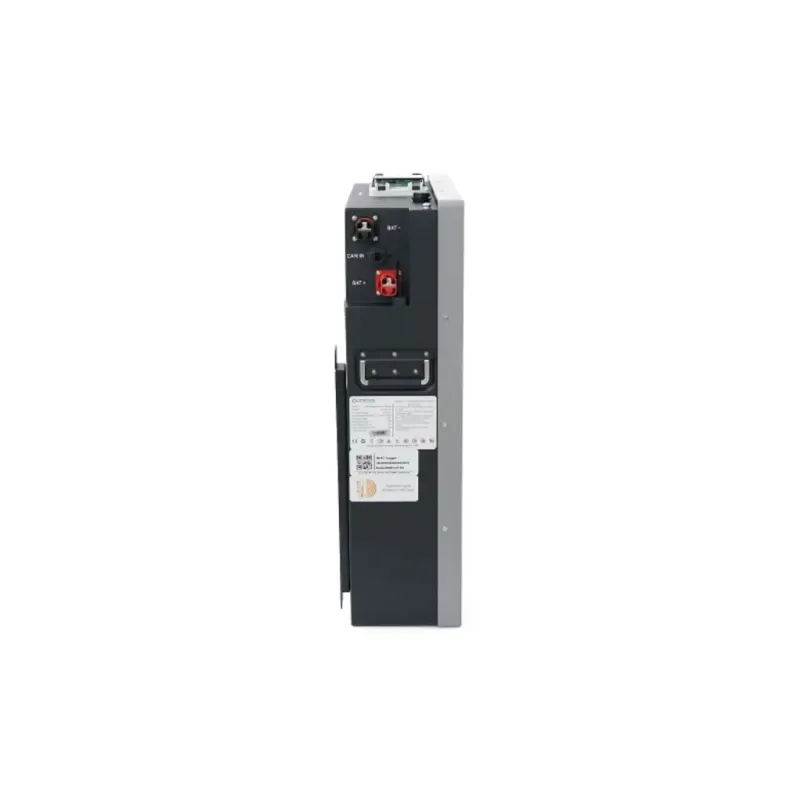 Аккумуляторная батарея Dyness Power Haus 51.2V/100Ah 5,12kWh (Dyness Power Haus)