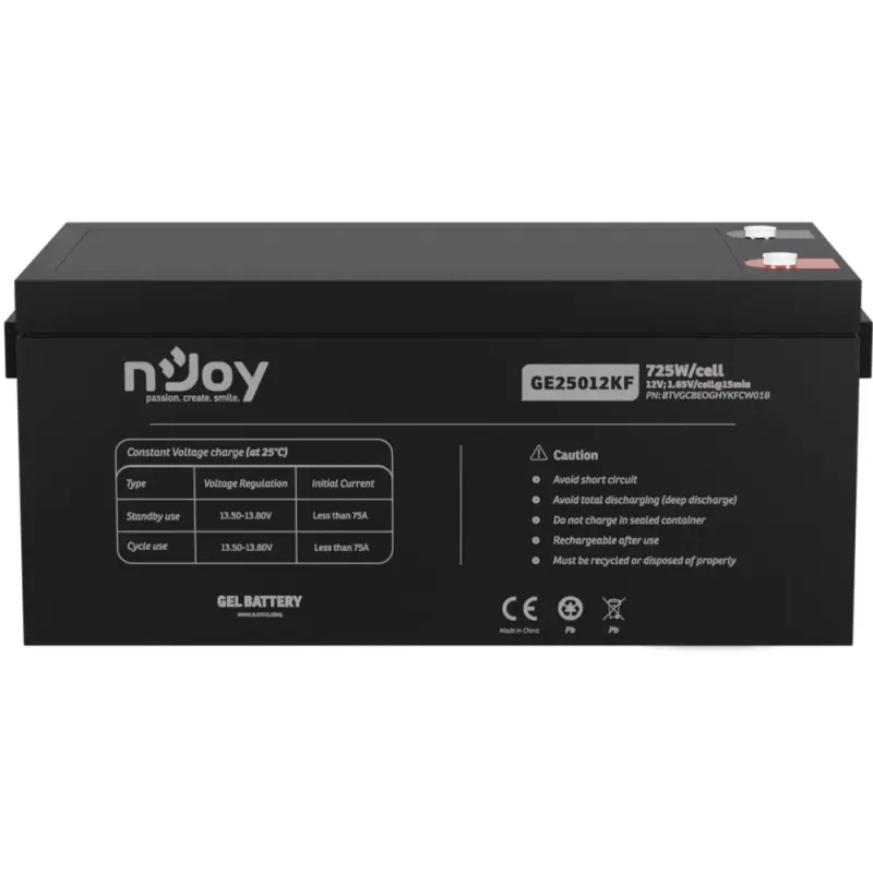 Аккумуляторная батарея NJOY GE25012KF 12V 250AH (BTVGCBEOGHYKFCW01B)