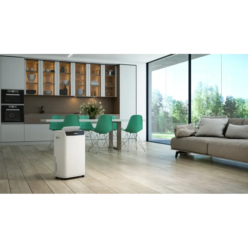 Осушитель оздуха Olimpia Splendid Aquaria S1 24 P (OS-2065)