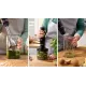 Блендер Bosch MSM4B621
