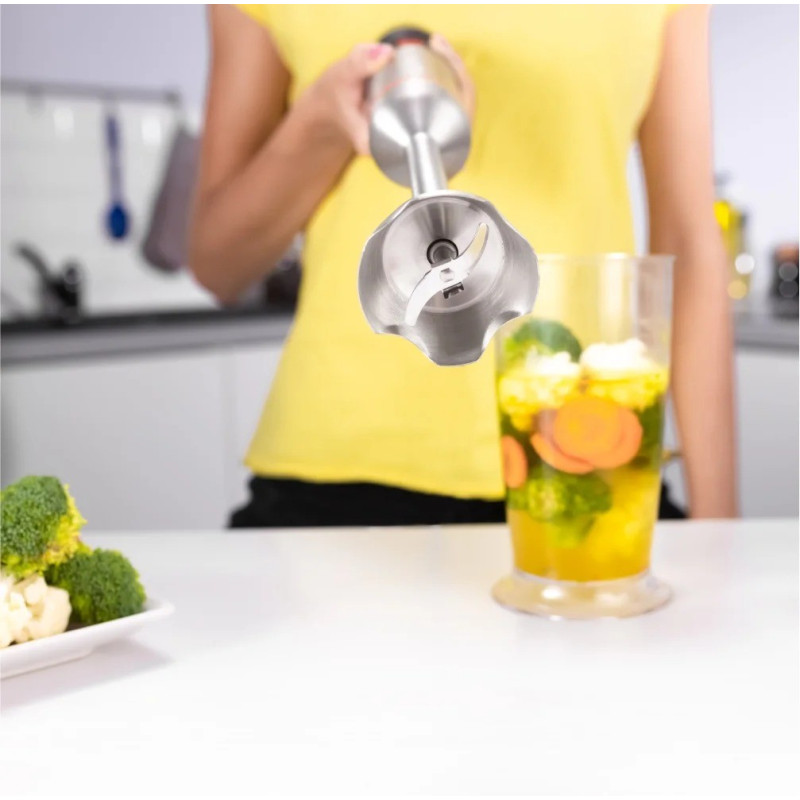 Блендер Zelmer ZHB4650