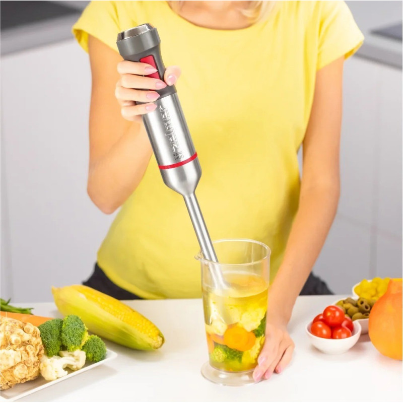 Блендер Zelmer ZHB4650