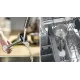 Блендер Bosch ErgoMaster Serie 4 MSM4W221