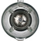 Блендер ZELMER ZSB4820