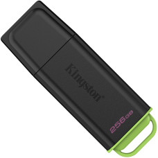 Флеш пам'ять USB Kingston 256 GB DataTraveler Exodia G2 (DTXG2/256GB)