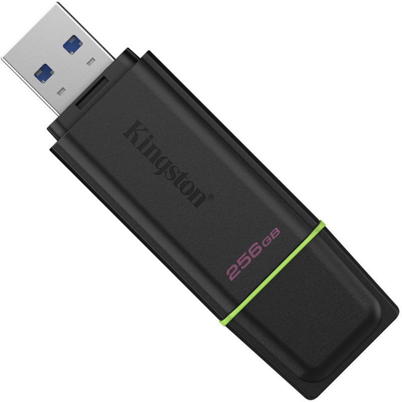 Флеш пам'ять USB Kingston 256 GB DataTraveler Exodia G2 (DTXG2/256GB)