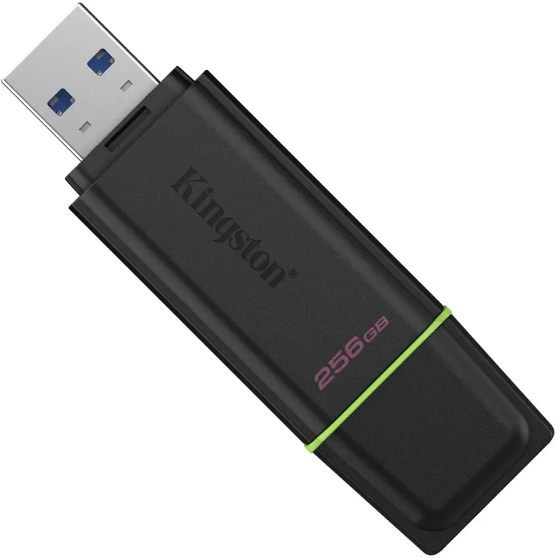 Флеш пам'ять USB Kingston 256 GB DataTraveler Exodia G2 (DTXG2/256GB)