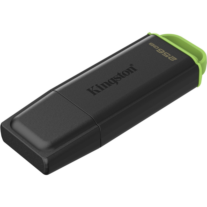 Флеш пам'ять USB Kingston 256 GB DataTraveler Exodia G2 (DTXG2/256GB)