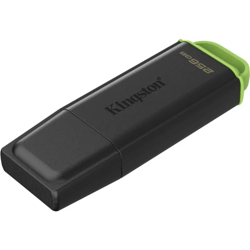 Флеш пам'ять USB Kingston 256 GB DataTraveler Exodia G2 (DTXG2/256GB)