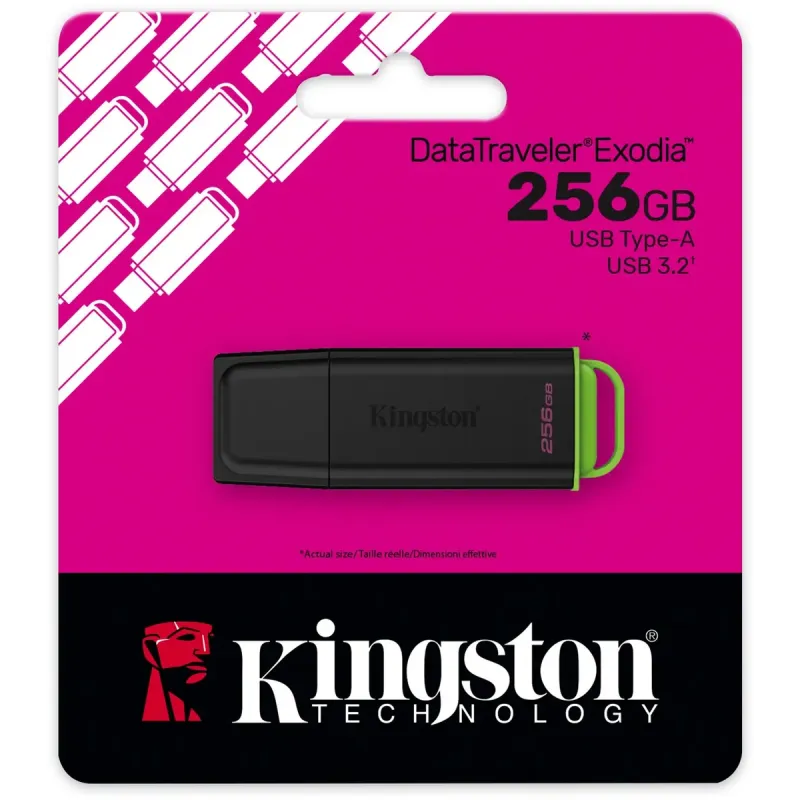 Флеш пам'ять USB Kingston 256 GB DataTraveler Exodia G2 (DTXG2/256GB)