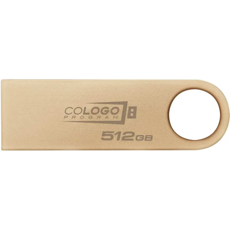Флеш пам'ять USB Kingston 512 GB DataTraveler SE9 Gen 3 Gold (DTSE9G3/512GB)