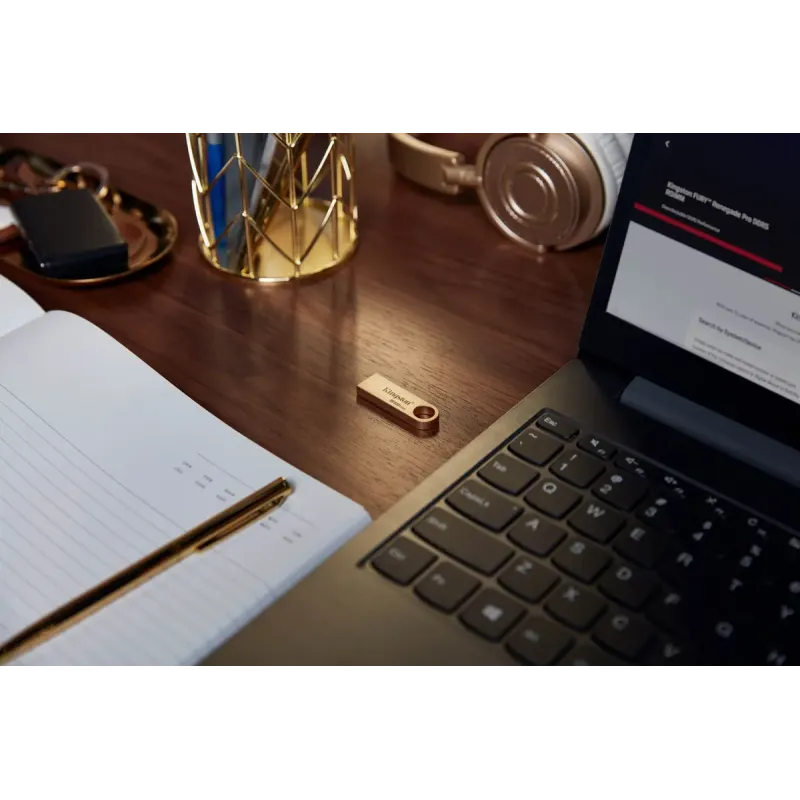 Флеш пам'ять USB Kingston 512 GB DataTraveler SE9 Gen 3 Gold (DTSE9G3/512GB)