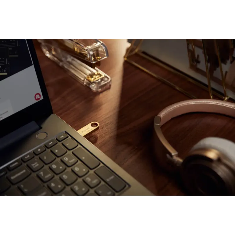Флеш пам'ять USB Kingston 512 GB DataTraveler SE9 Gen 3 Gold (DTSE9G3/512GB)